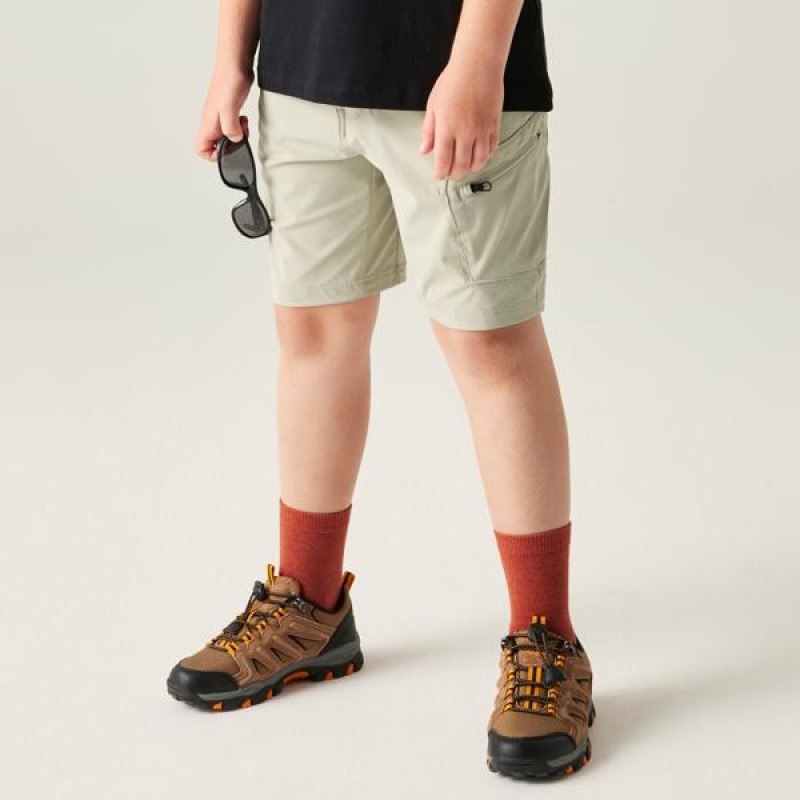 Korte Broek Dare 2b Reprise III Short