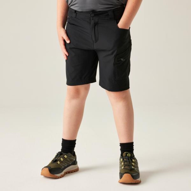Korte Broek Dare 2b Reprise III Short