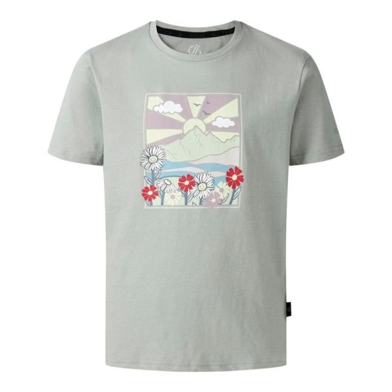 Футболка Dare 2b Trailblz III tee