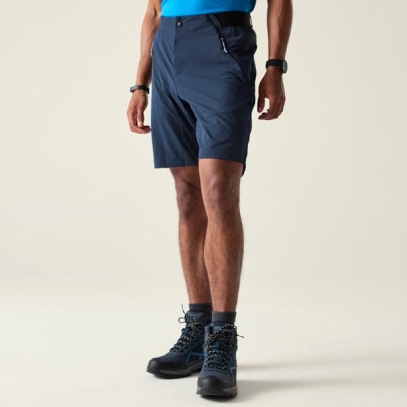 Korte Broek Dare 2b Torrek Lite Short