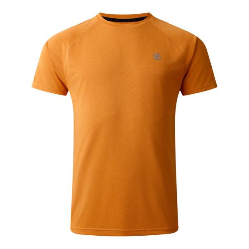 Футболка Dare 2b Accelerate Tee