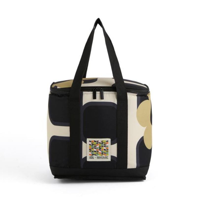 Kampeeraccessoire Regatta Orla 12L Coolbag