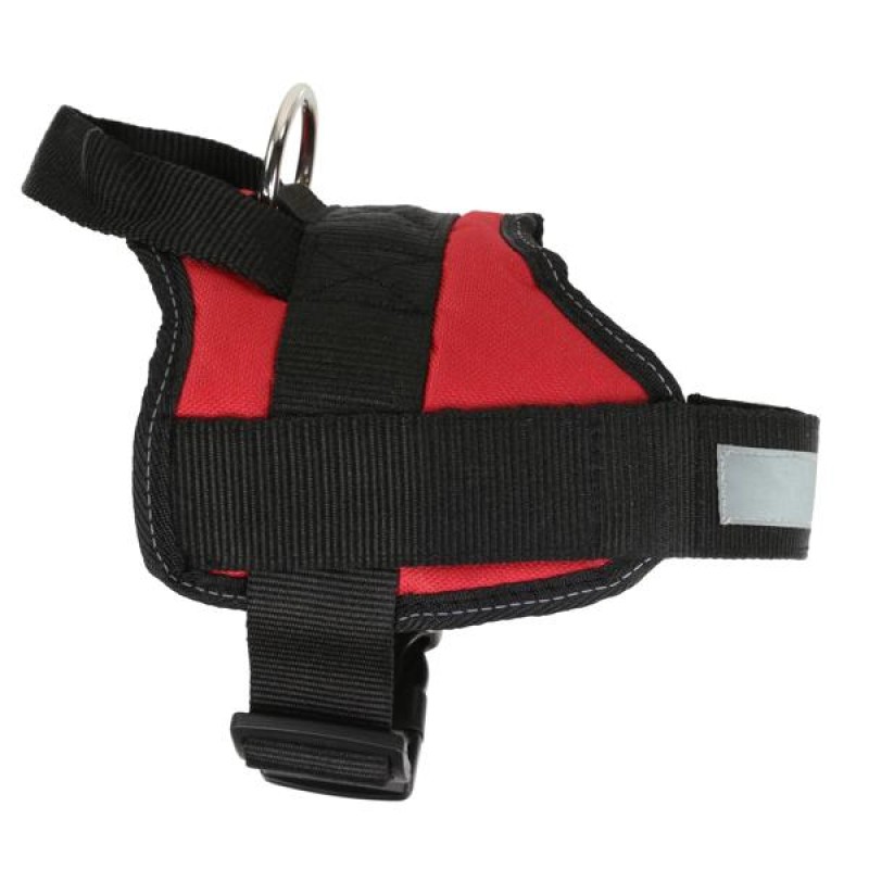 Аксесуар для собак Regatta Refl Dog Harness