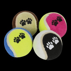 Hondenaccessoire Regatta Dog Tennis Ball