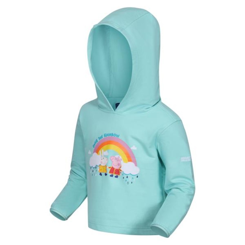 Фліс Regatta Peppa Graph Hoody