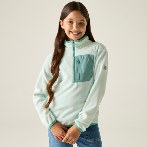 Фліс Regatta Jr Frankie H/Z