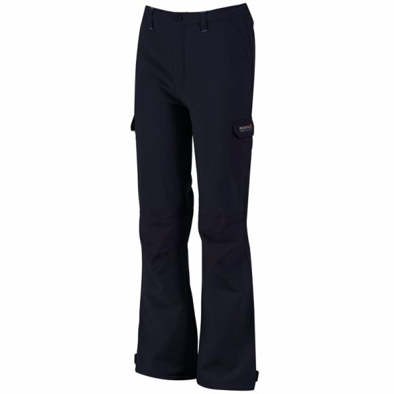 Штани Regatta Winter SShell Trs