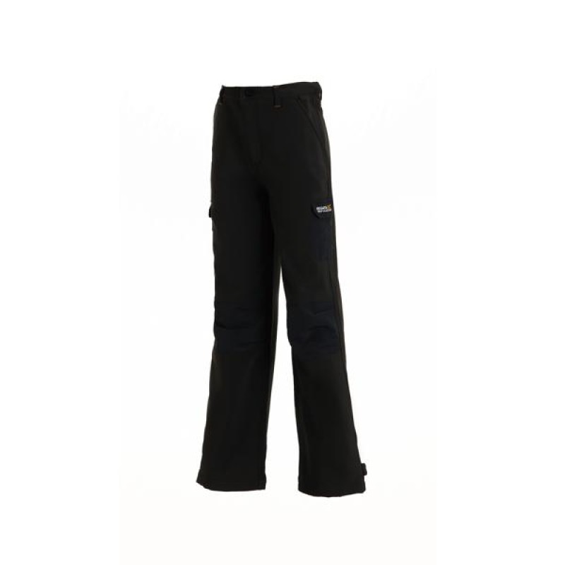 Штани Regatta Winter SShell Trs