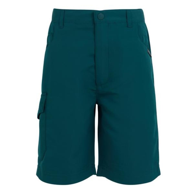 Шорти Regatta Sorcer Shorts II