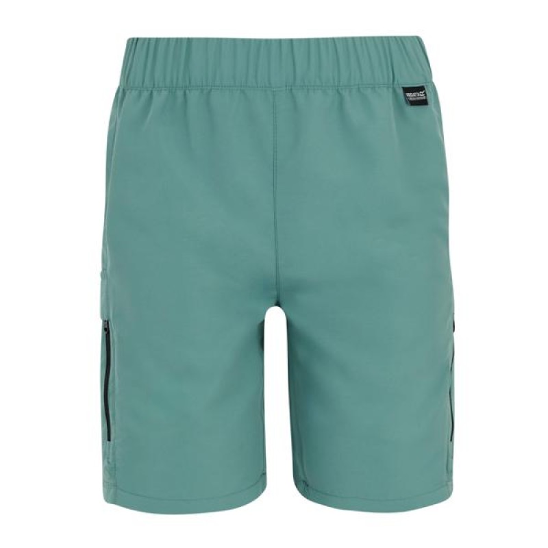 Шорти Regatta Sorcer Shorts III