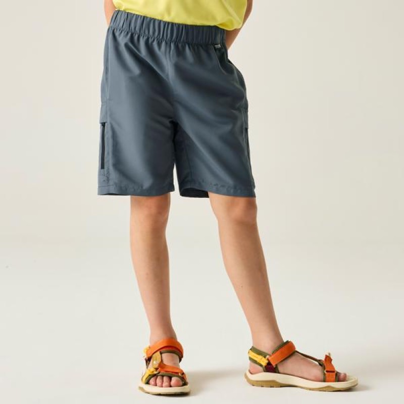 Шорти Regatta Sorcer Shorts III
