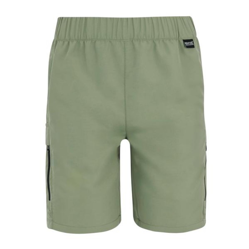Шорти Regatta Sorcer Shorts III