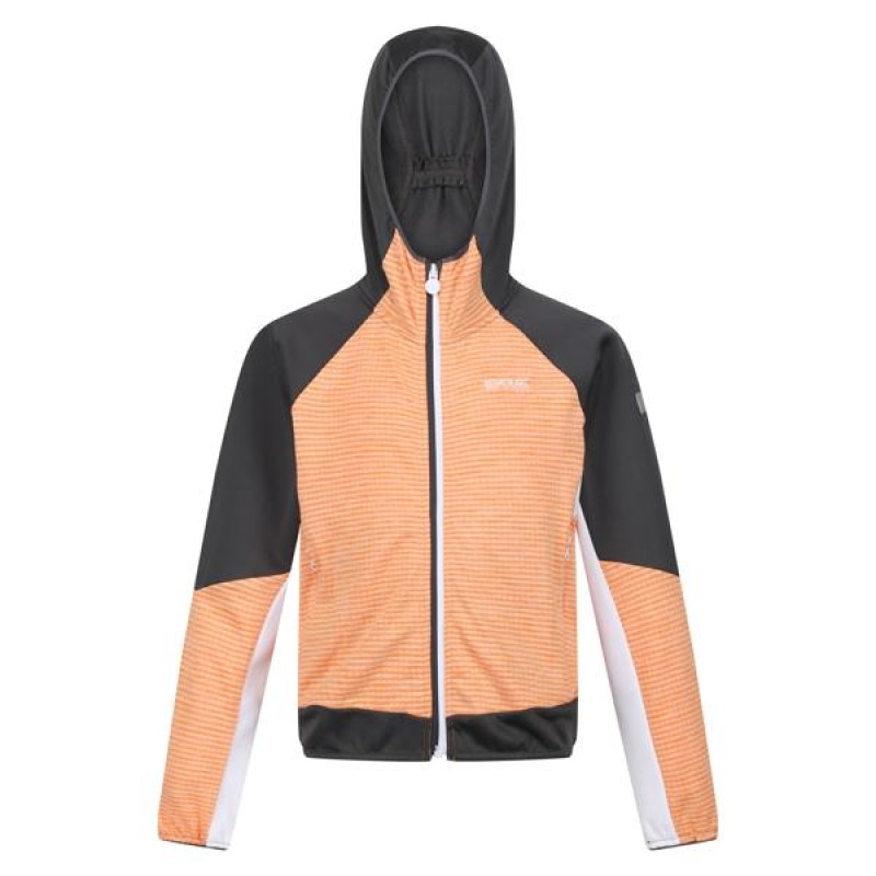 Softshell Regatta Prenton II