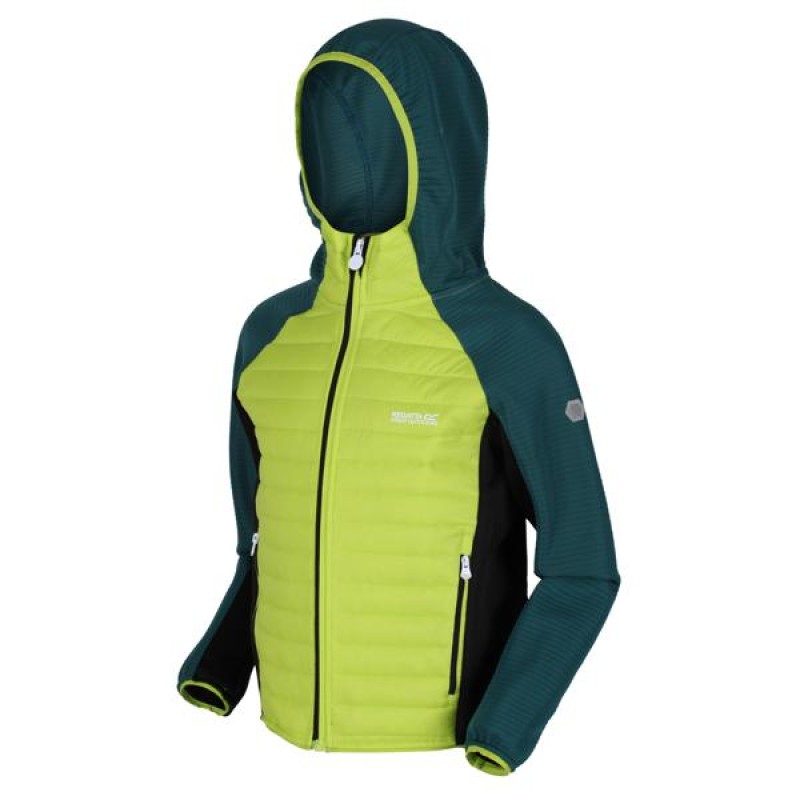 Пуховик Regatta Kielder Hybrid V