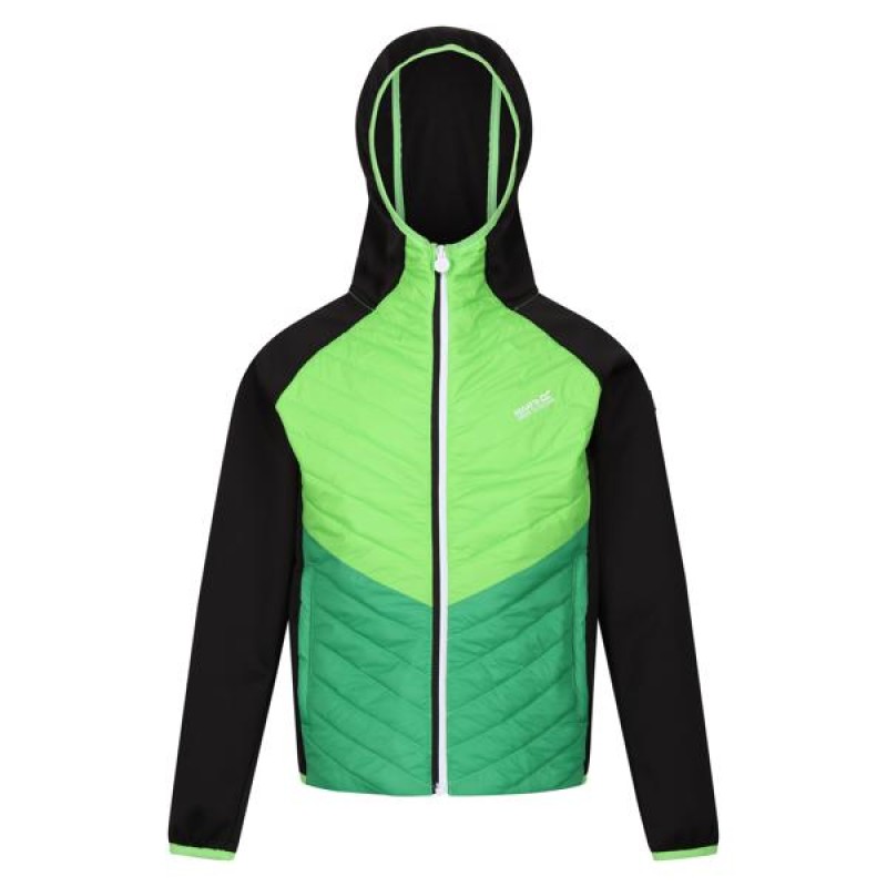 Пуховик Regatta Kielder HybridVII
