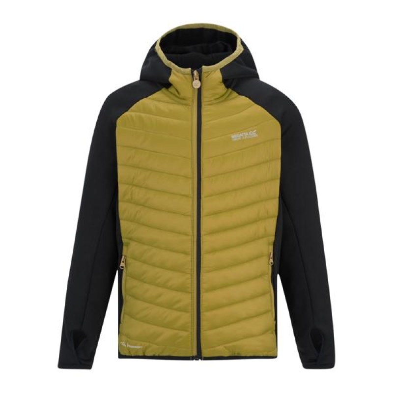 Пуховик Regatta Jr Andreson Hy
