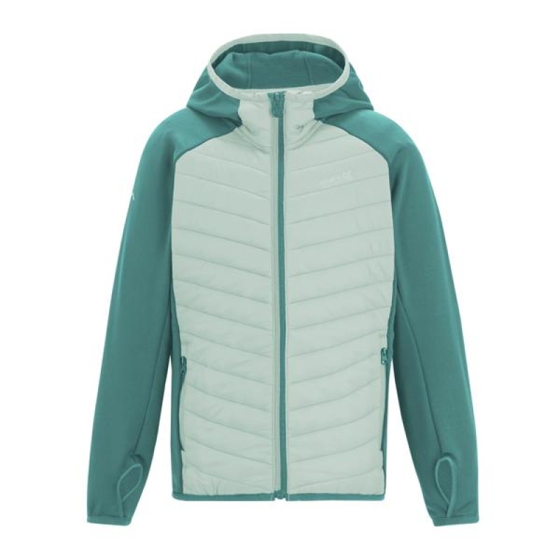 Пуховик Regatta Jr Andreson Hy