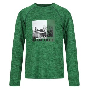 Футболка Regatta Burnlee