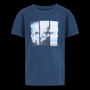 Футболка Regatta Bosley VII