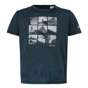 Футболка Regatta Alvarado IX