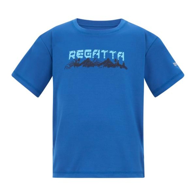 Футболка Regatta Alvarado