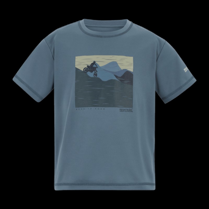 Футболка Regatta Alvarado