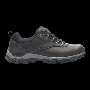 Туфлі Regatta Holcombe Clss Low