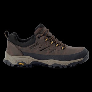 Туфлі Regatta Blake Low