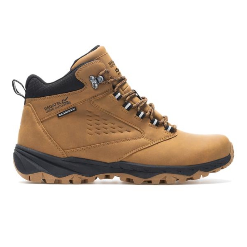 Черевики Regatta Amble Boot WP