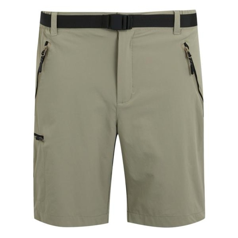 Шорти Regatta Xert StrShort III