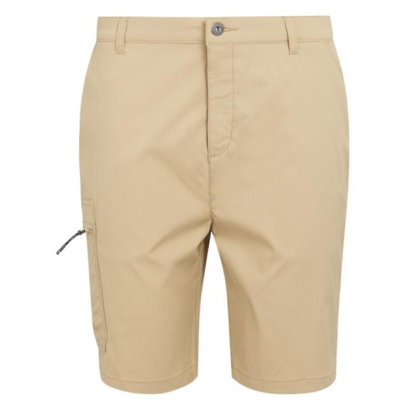 Шорти Regatta Dalry Short