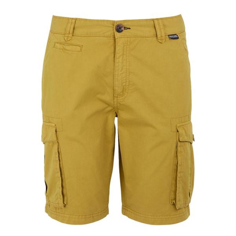 Шорти Regatta Shorebay Short II
