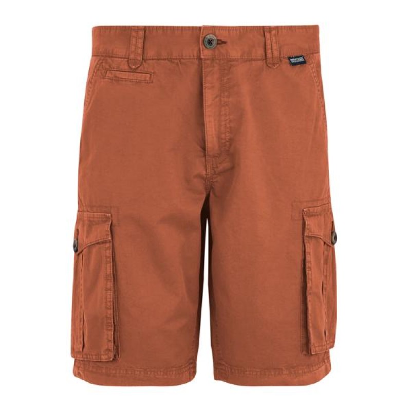 Шорти Regatta Shorebay Short II