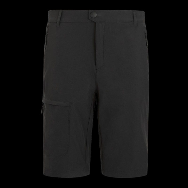 Шорти Regatta HightonShortLngII