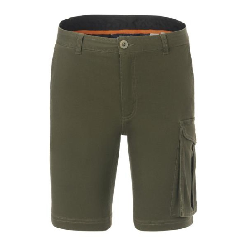 Шорти Regatta Bendrick Shorts