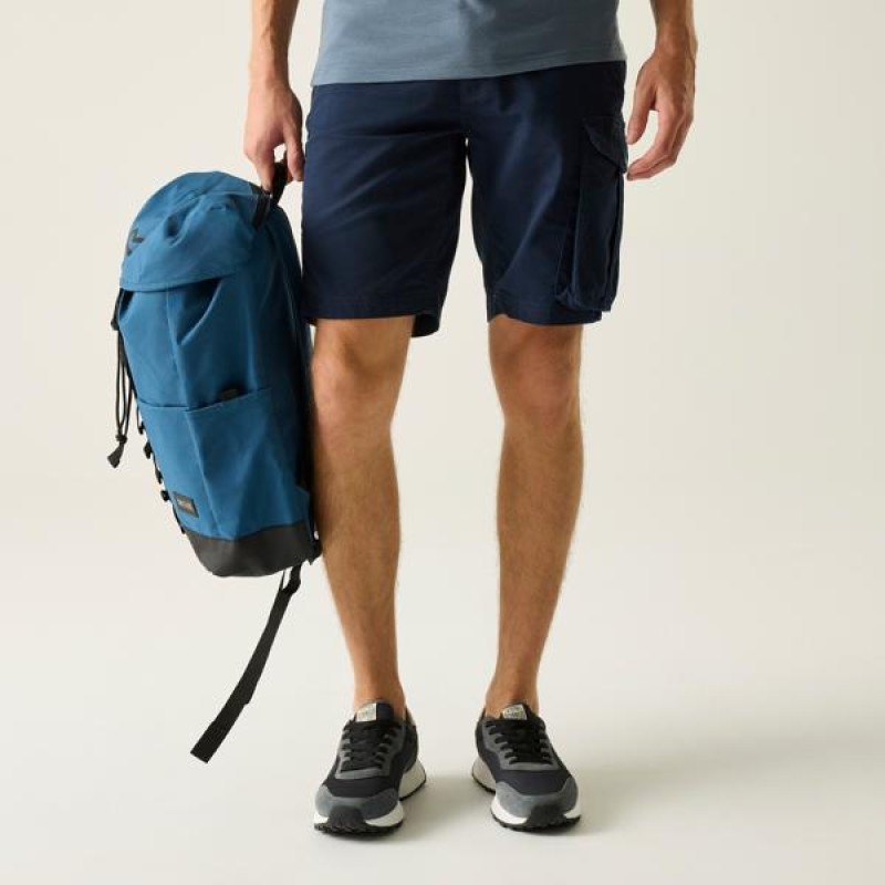 Шорти Regatta Bendrick Shorts
