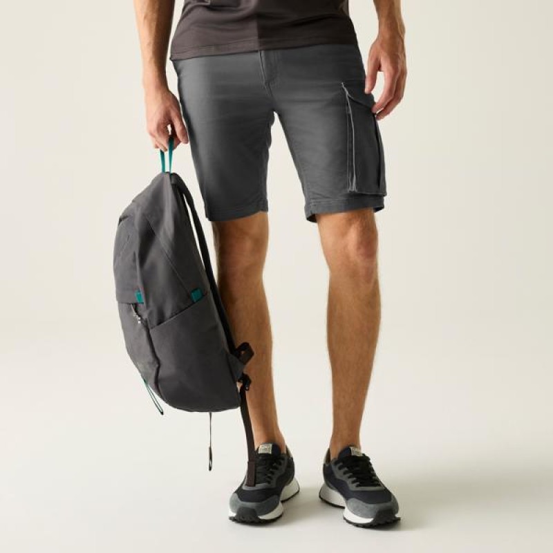 Шорти Regatta Bendrick Shorts