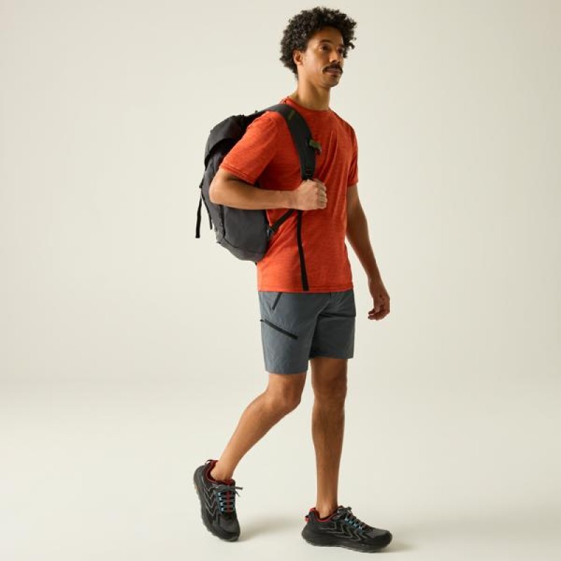 Korte Broek Regatta XertStretchShorts