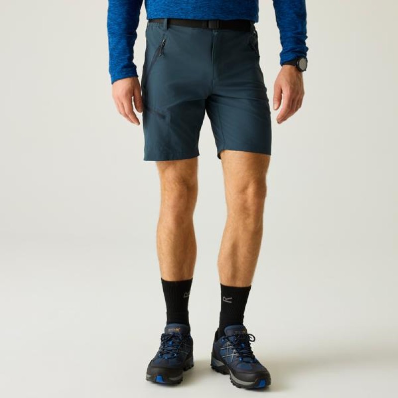 Korte Broek Regatta XertStretchShorts