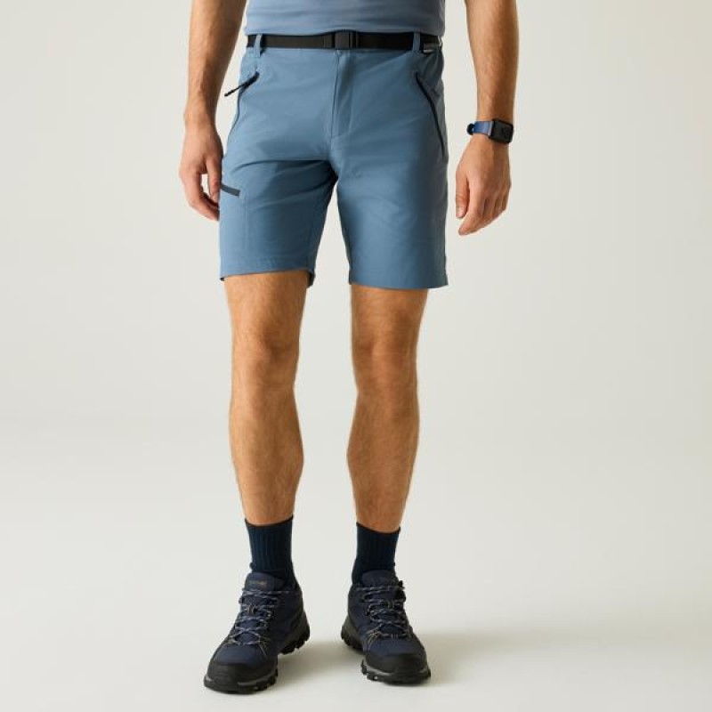 Korte Broek Regatta XertStretchShorts