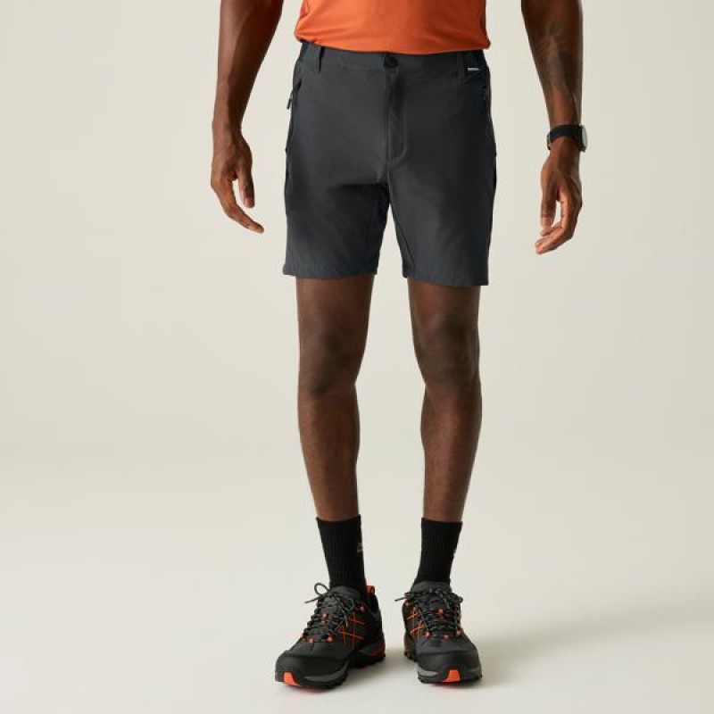 Шорти Regatta Mountain Shorts