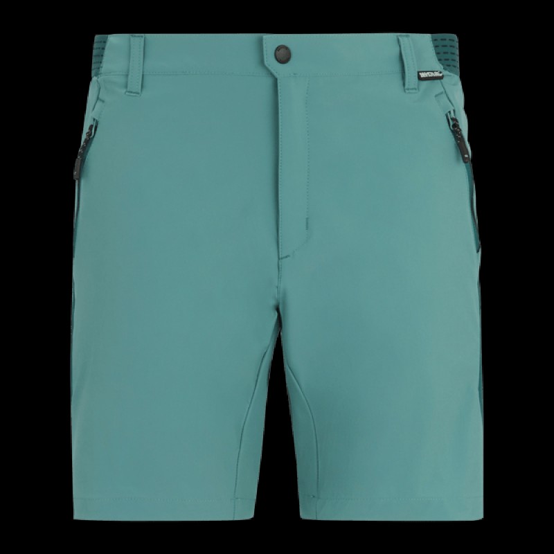 Шорти Regatta Mountain Shorts