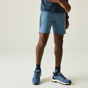 Шорти Regatta Mountain Shorts