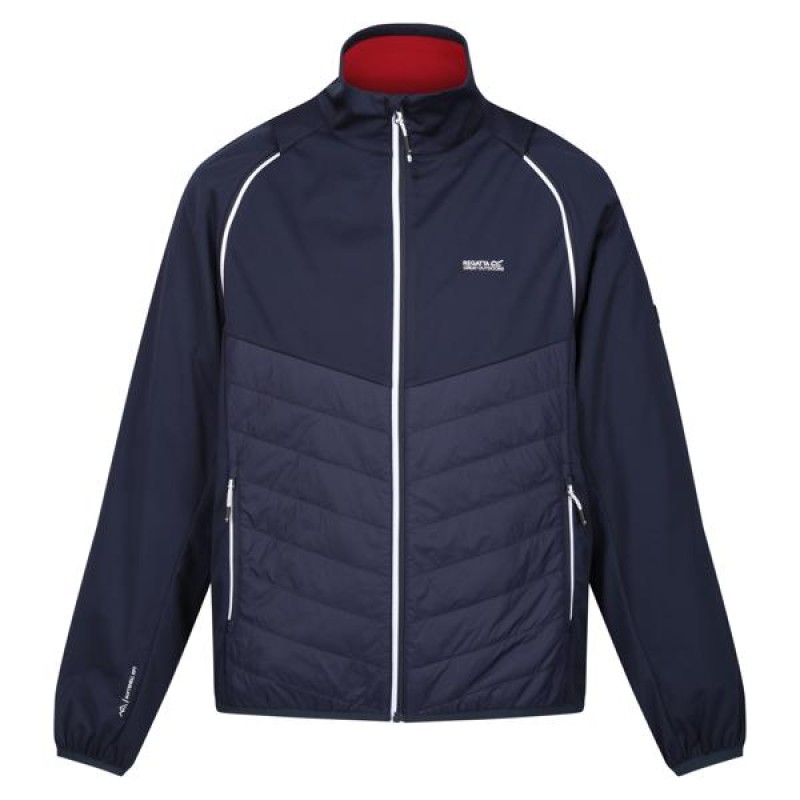 Softshell Regatta Steren Hybrid