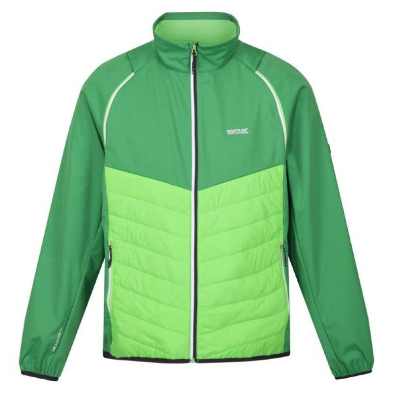 Softshell Regatta Steren Hybrid
