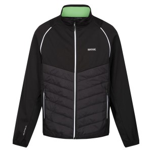 Softshell Regatta Steren Hybrid