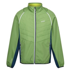 Softshell Regatta Steren II Hybrid