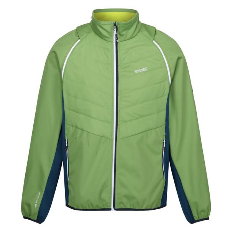 Softshell Regatta Steren II Hybrid