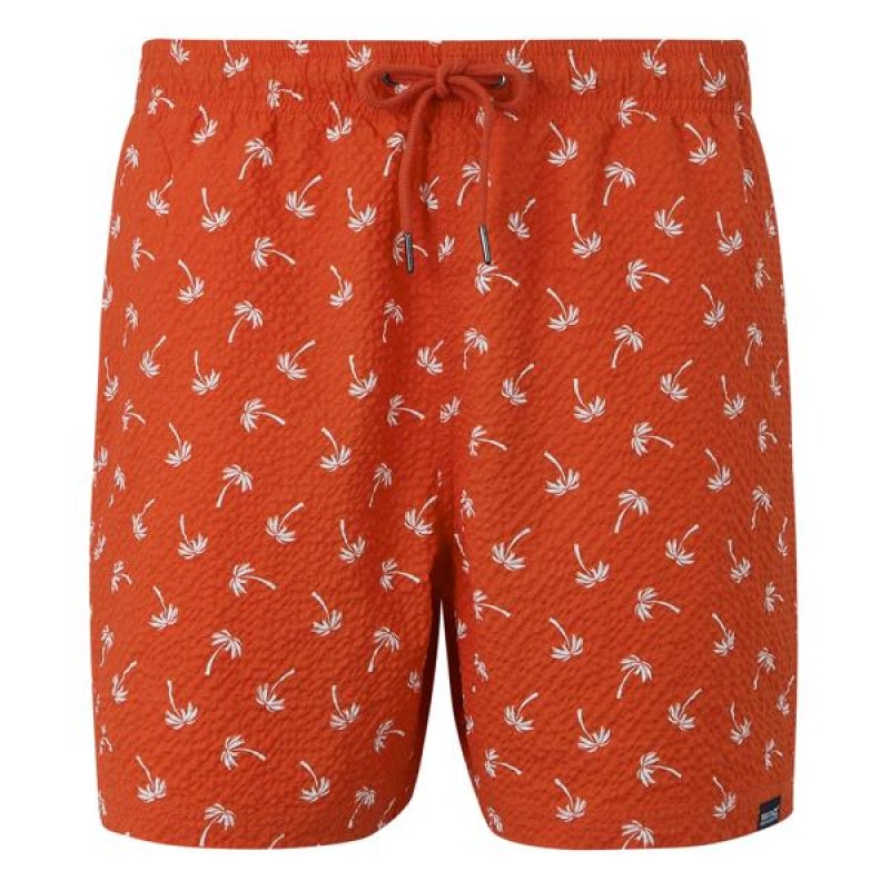Купальник Regatta Loras Swim Short
