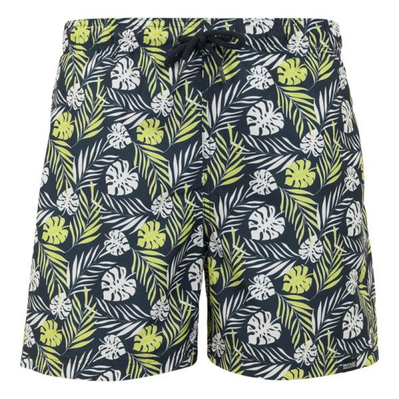Купальник Regatta Loras Swim Short